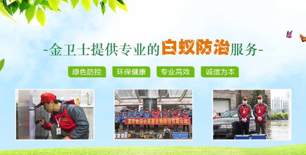 丑陋的蟑螂看起來很可怕。如何解決這種情況？